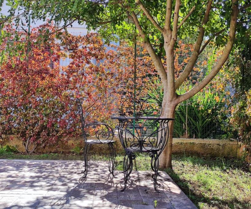 Vila Terra Dei Plautii Pulsano Exteriér fotografie